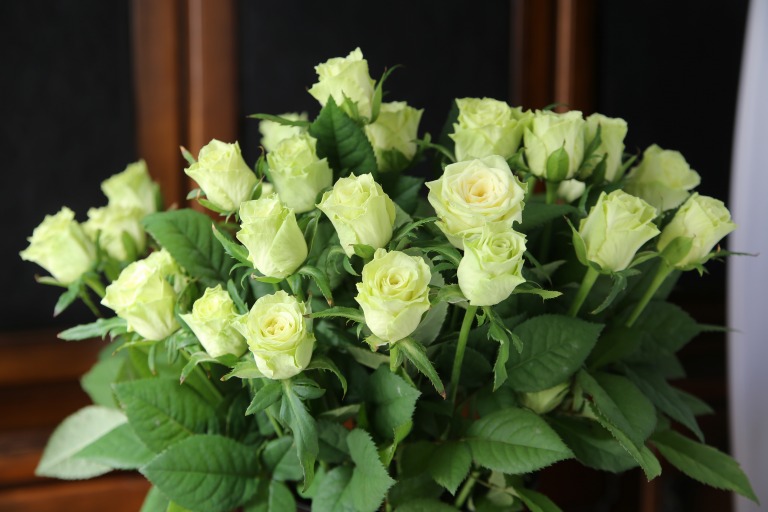 バラ　'カモフラージュ'　グリーンがのった白