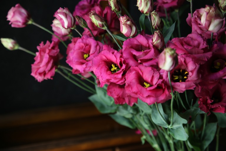 トルコキキョウ 'オーブレッド' 