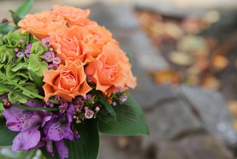 バラ　'カルピデューム'