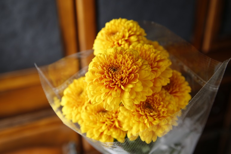 マム　'パラドフ'　南瓜のようなオレンジが強い黄色