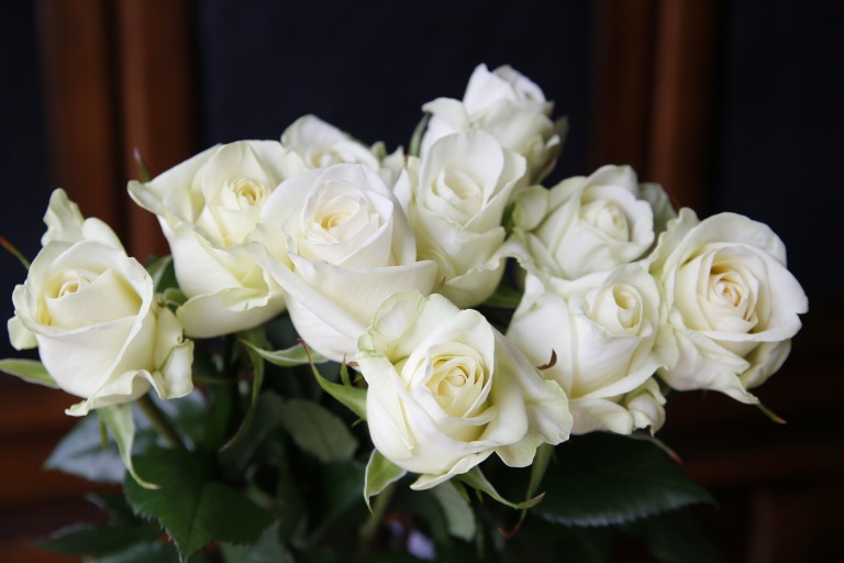 バラ　'コットンソープ'