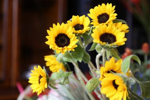 ヒマワリ オリンピックブーケの花