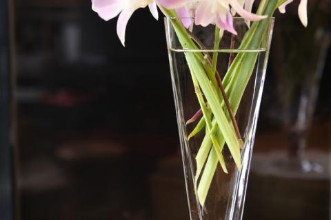 真夏の花のお手入れ 手入れの行き届いた花瓶で花もいきいき!気持ちも上がります!