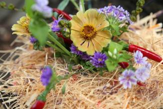 心地よいカラーハーモニー　フローリストの使う色