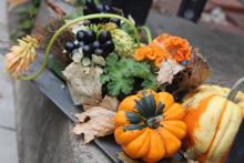 パンプキン/南瓜