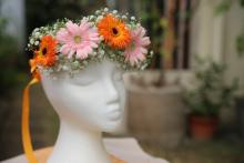 カスミソウ　ベールスター